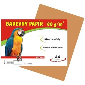 Papier für den Kunstunterricht A4/100/80g braun